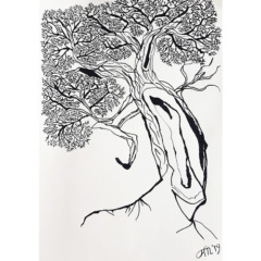 Pentekening ‘Old Willow’