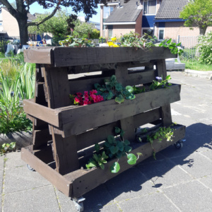 Planten- of kruidenbak