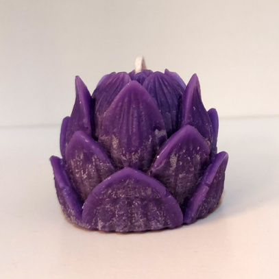 25-lotus-paars