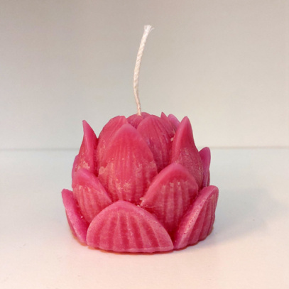 25-lotus-roze