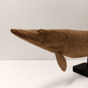 Beeld Snoek