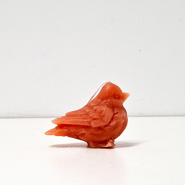25-vogel-1